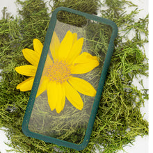 Load image into Gallery viewer, Clear Eco-Friendly iPhone Plus Case with Green Ridge

